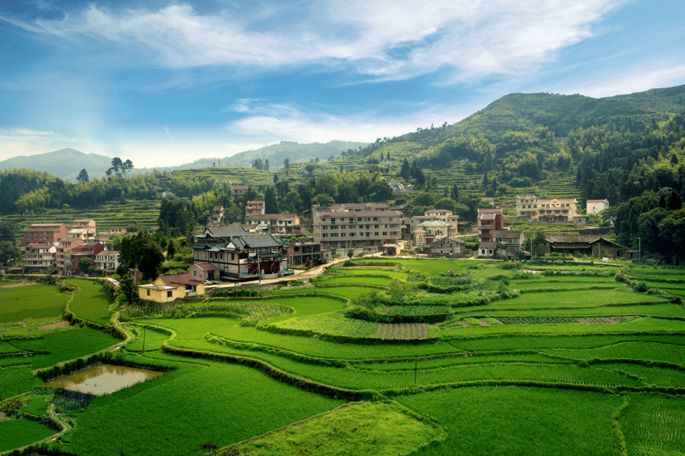 老家青田我代言 | 作品展(八十五)之"写家乡"——《养生章旦 旅游圣地