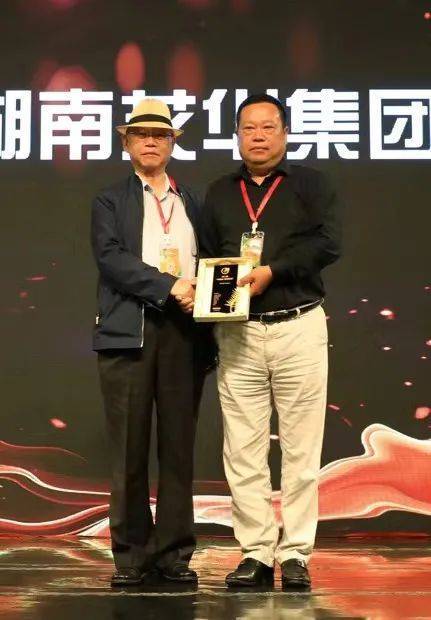 艾华_王安安_集团