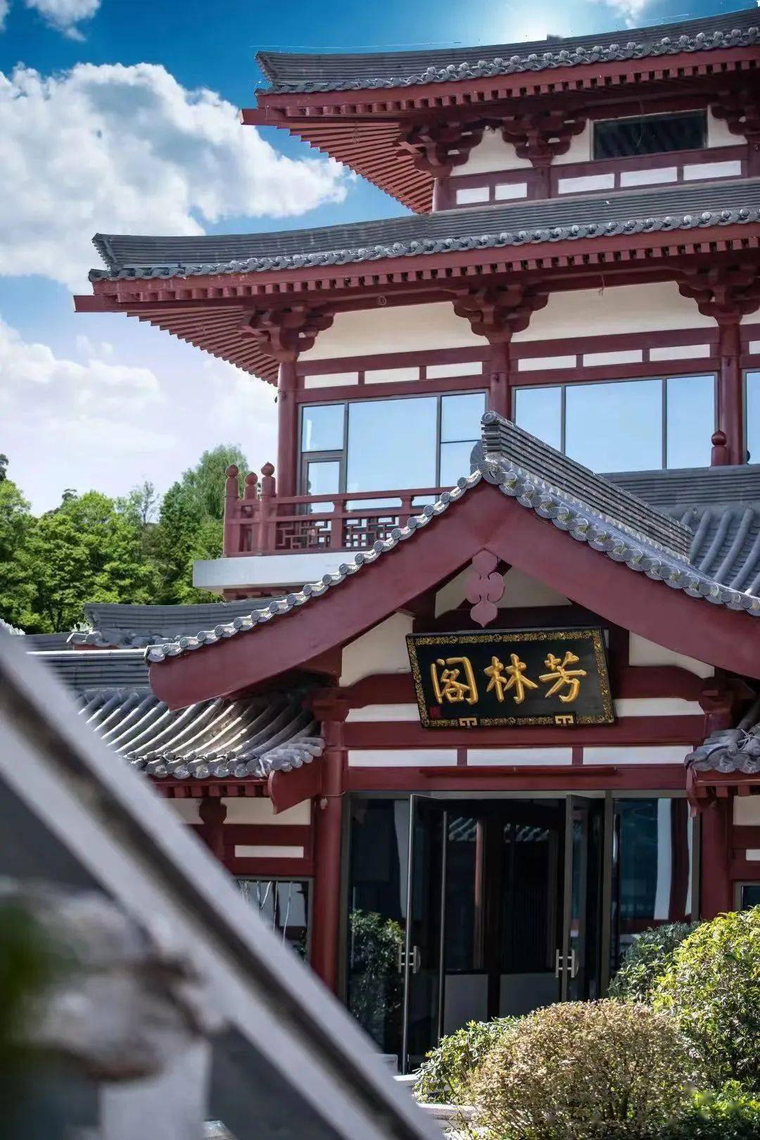 四时与节 | 寒露时节凉意浓,秋意风雅芳林苑_秋景_画面_曲江