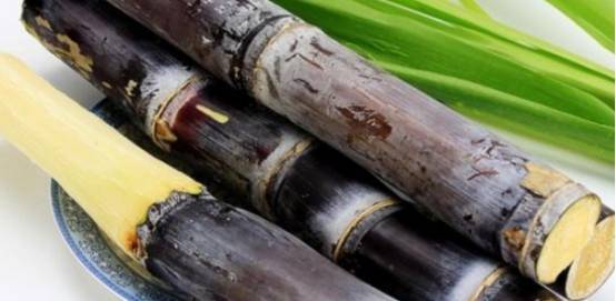 104岁老人:这4种食物每天吃,和胶就能和我做朋友