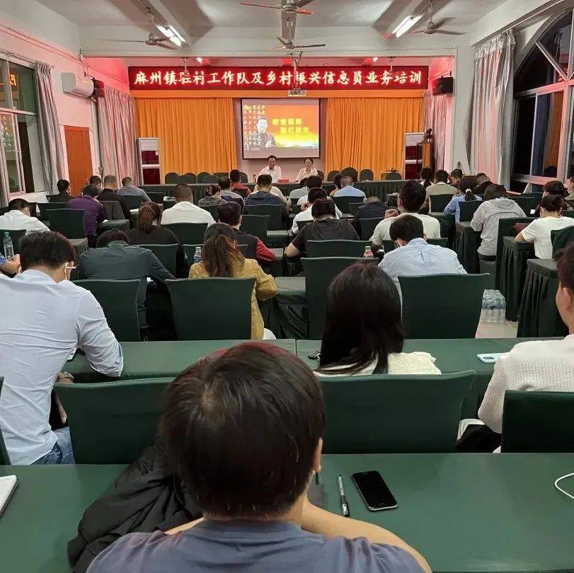 麻州镇召开驻村工作队及乡村振兴信息员业务培训会_帮扶_职责_本领