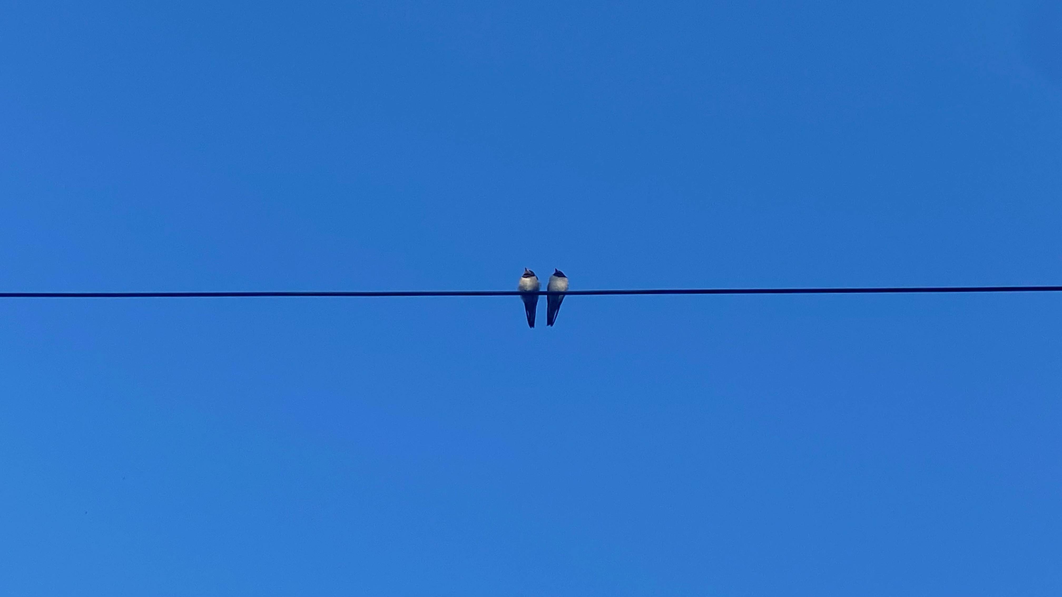 区分法律英语中的force majeure、fortuitous event和act of God_搜狐网