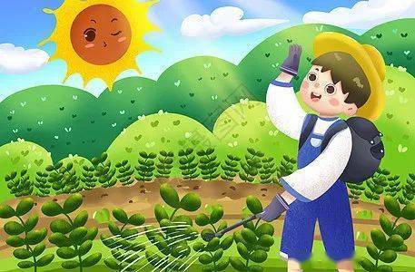 种子_蔬菜_土地