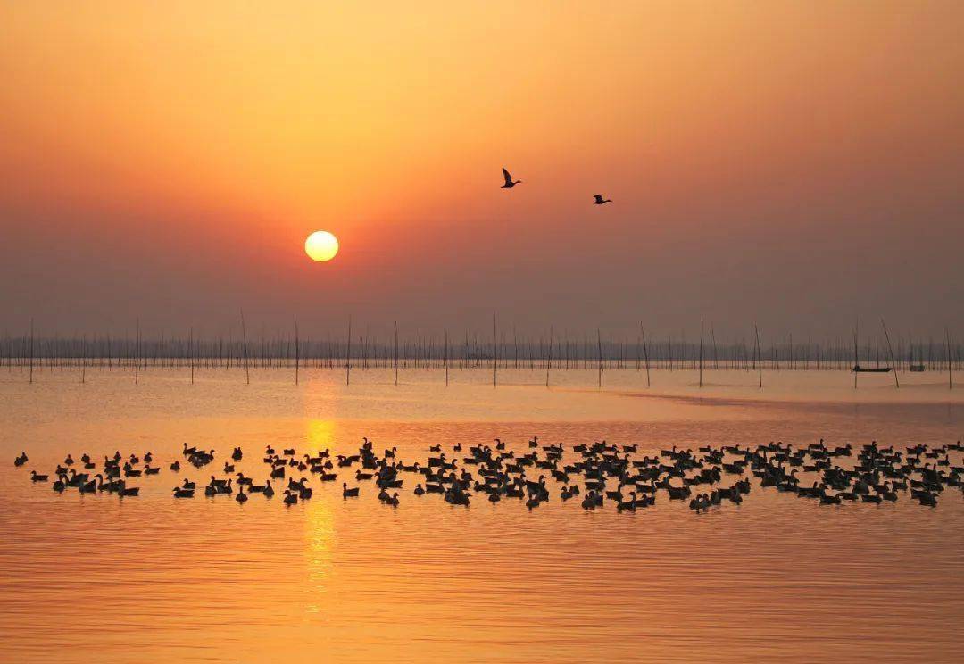 《瓦埠湖畔景色美》 倪军 摄 拍摄地:谢家集区孙庙乡《绚烂晚霞惹人醉