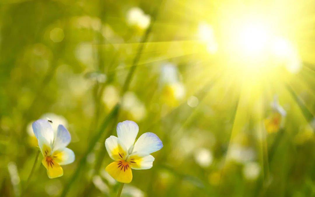 綦听| 岁月静好,阳光明媚_防疫_时光_美好记忆