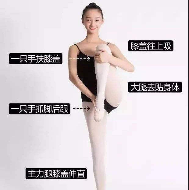 你必须得知道的那些压腿小知识_动作_舞蹈_平台