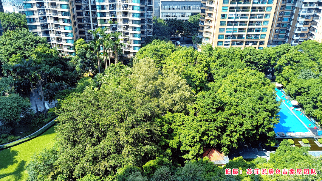 樓盤詳評106 - 天河北 - 芳草園_廣州_小區_小學