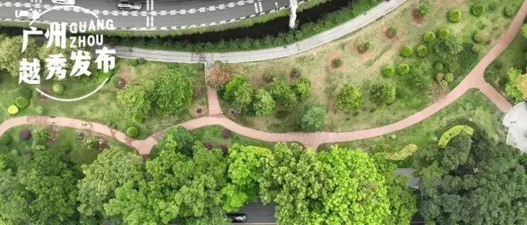 越秀新彩丨走进旧南海县社区、东濠涌_广州_文化_智慧