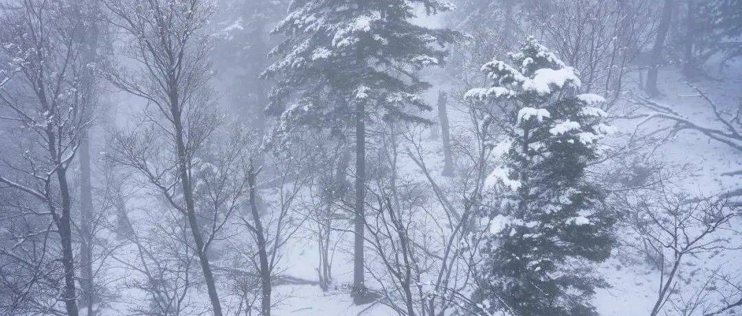 北大湖迎来新雪季首场雪,11月初将开展“全民试滑周”活动_项目_滑雪_度假区