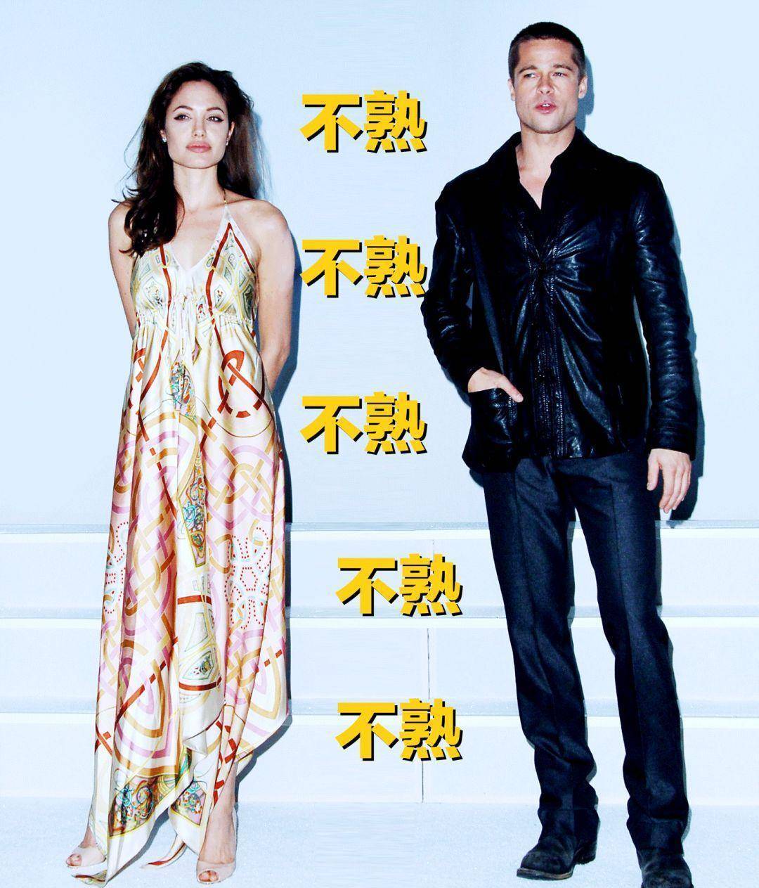 这么会穿难怪连兄弟妻子都喜欢 美丽得真好 布拉德皮特爆出新恋情?