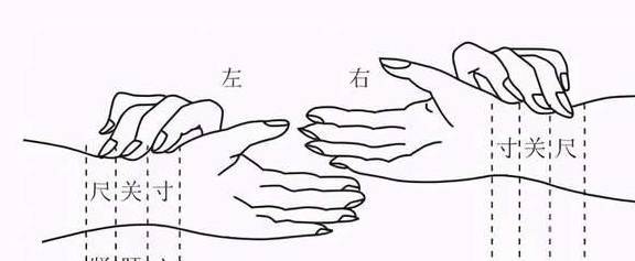 中医:关于脉诊发展的历史演变过程_寸口_理论_方法