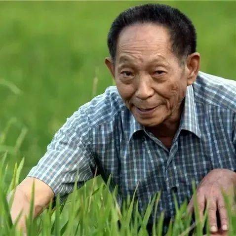 “天堂也有禾下梦”_杂交稻_人类_故事