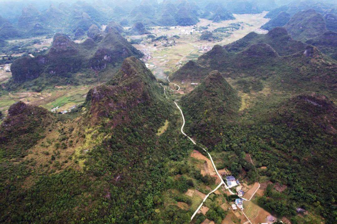 融安"四好公路"助力乡村振兴_群众_桥板乡_村庄