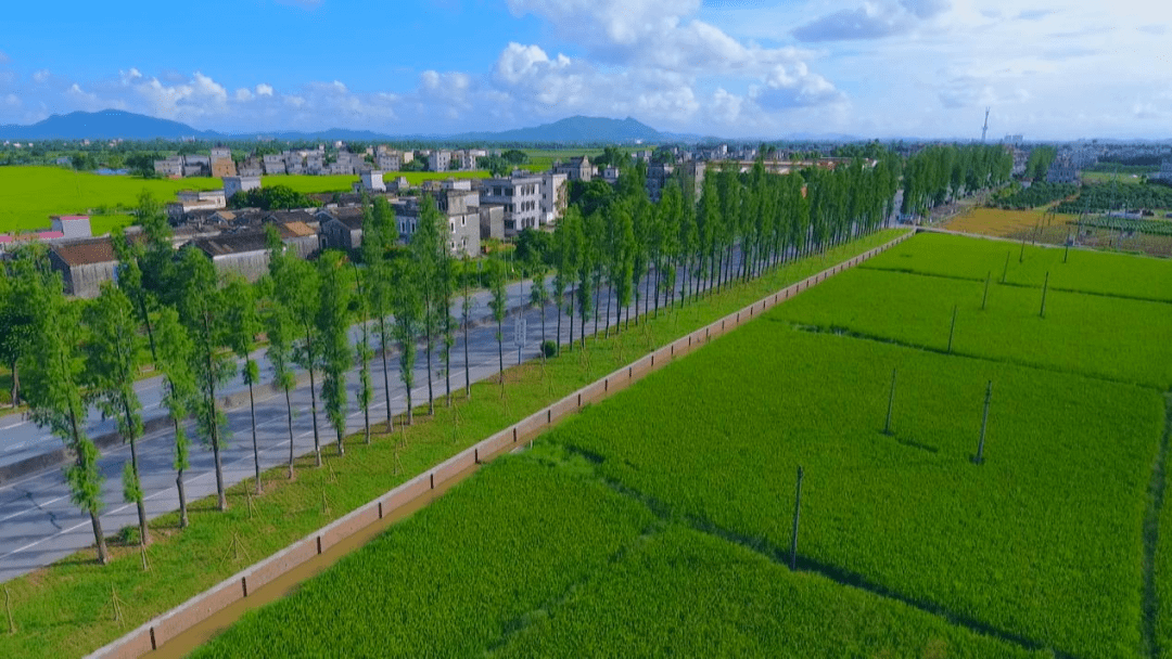 全長6公里,是連接鶴山市龍口鎮和鶴城鎮的交通要道,沿途有鶴山第二