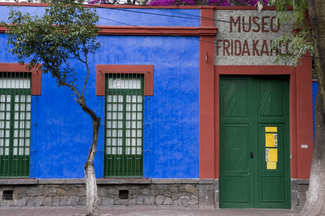 frida kahlo: the artist in the blue housemagdalena holzhey