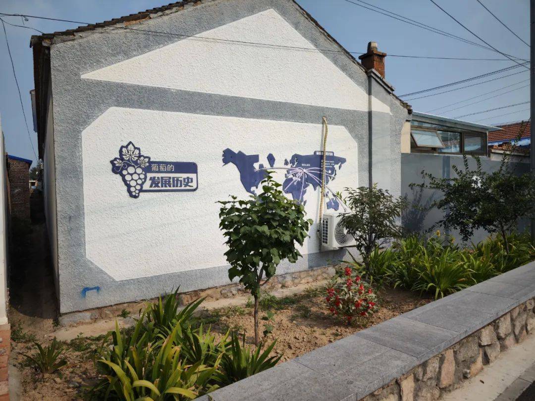 我家门前丨喝咖啡种葡萄开民宿 冬奥让小山村变了样_后黑龙庙村_村民