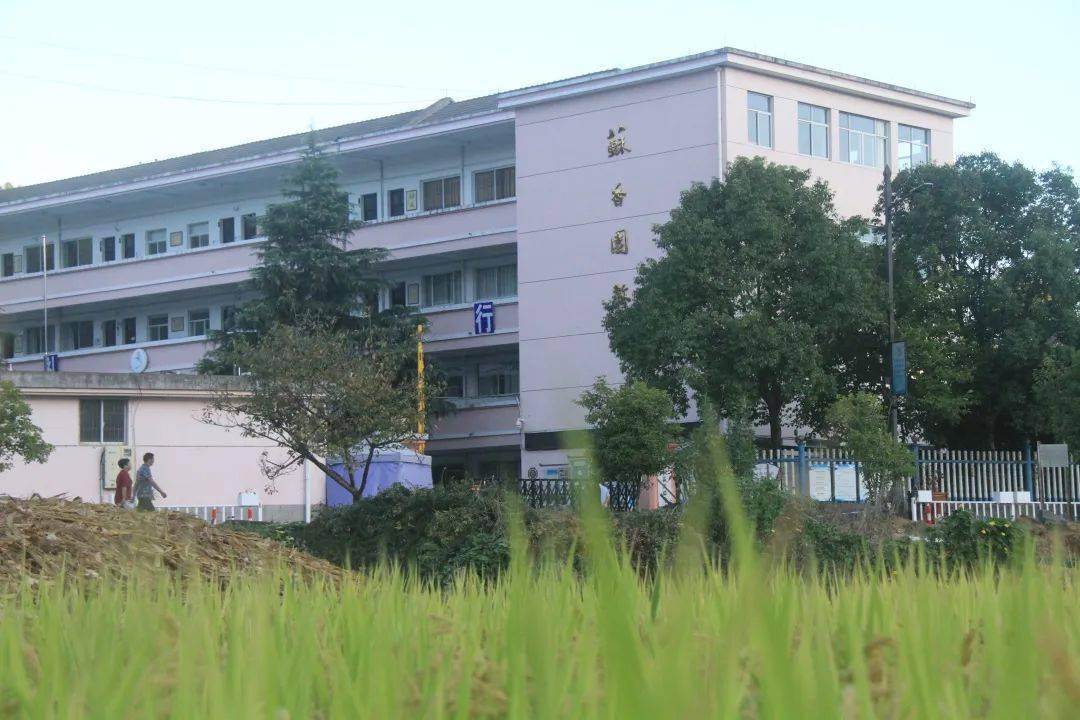 开化县苏庄镇中心小学: 大山深处的守望与传承_教育_教室_衢州