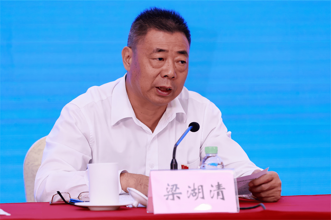 广州市建筑集团党委书记,董事长梁湖清温氏食品集团股份有限公司董事