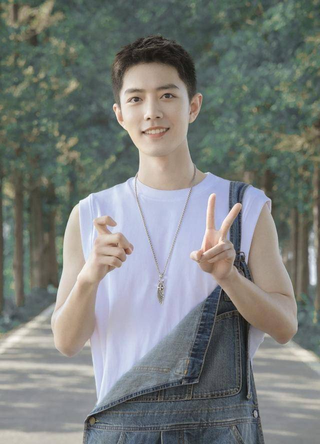 只因给肖战送了生日祝福,他得罪粉丝被骂,现已掉粉一百万_乔诗语_边江