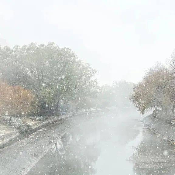 @黑龙江人,雨雪+大风+降温组团来袭!最低气温0℃以下!_地区_大兴安岭_其它