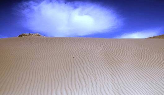 千年沙漠海：泥沙入海又被吹回海岸，1500平方公里的占地面积