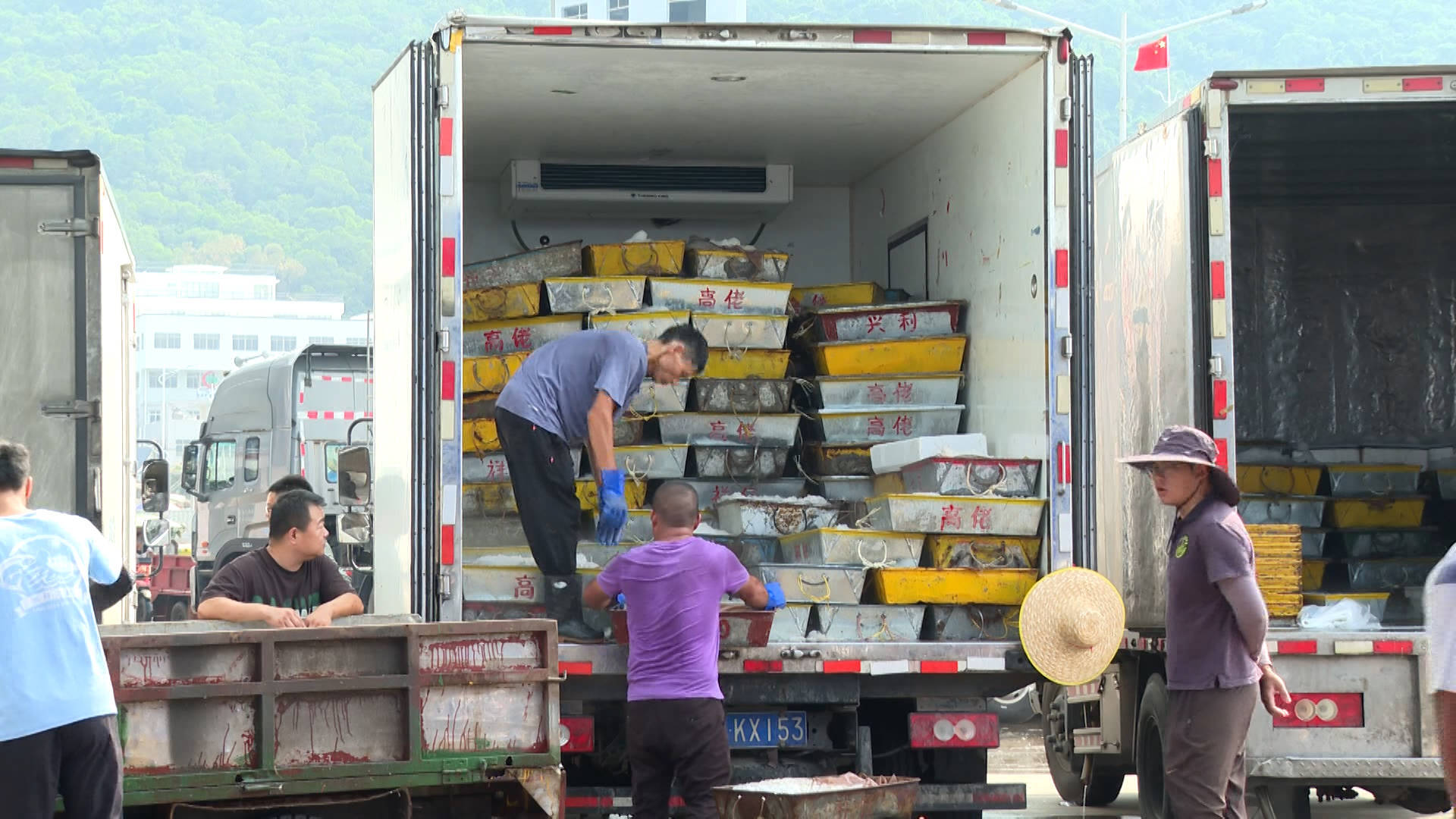 闸坡中心渔港水产品交易物流中心招商完成八成_渔船_海产品_工作