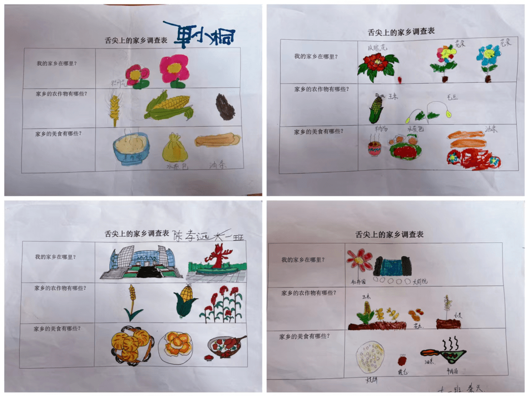 小小调查员手抄报图片