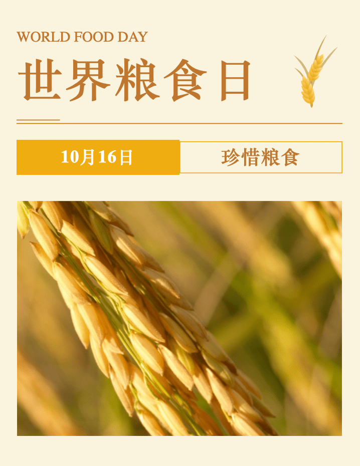 给孩子们的片子课 | 2022世界粮食日