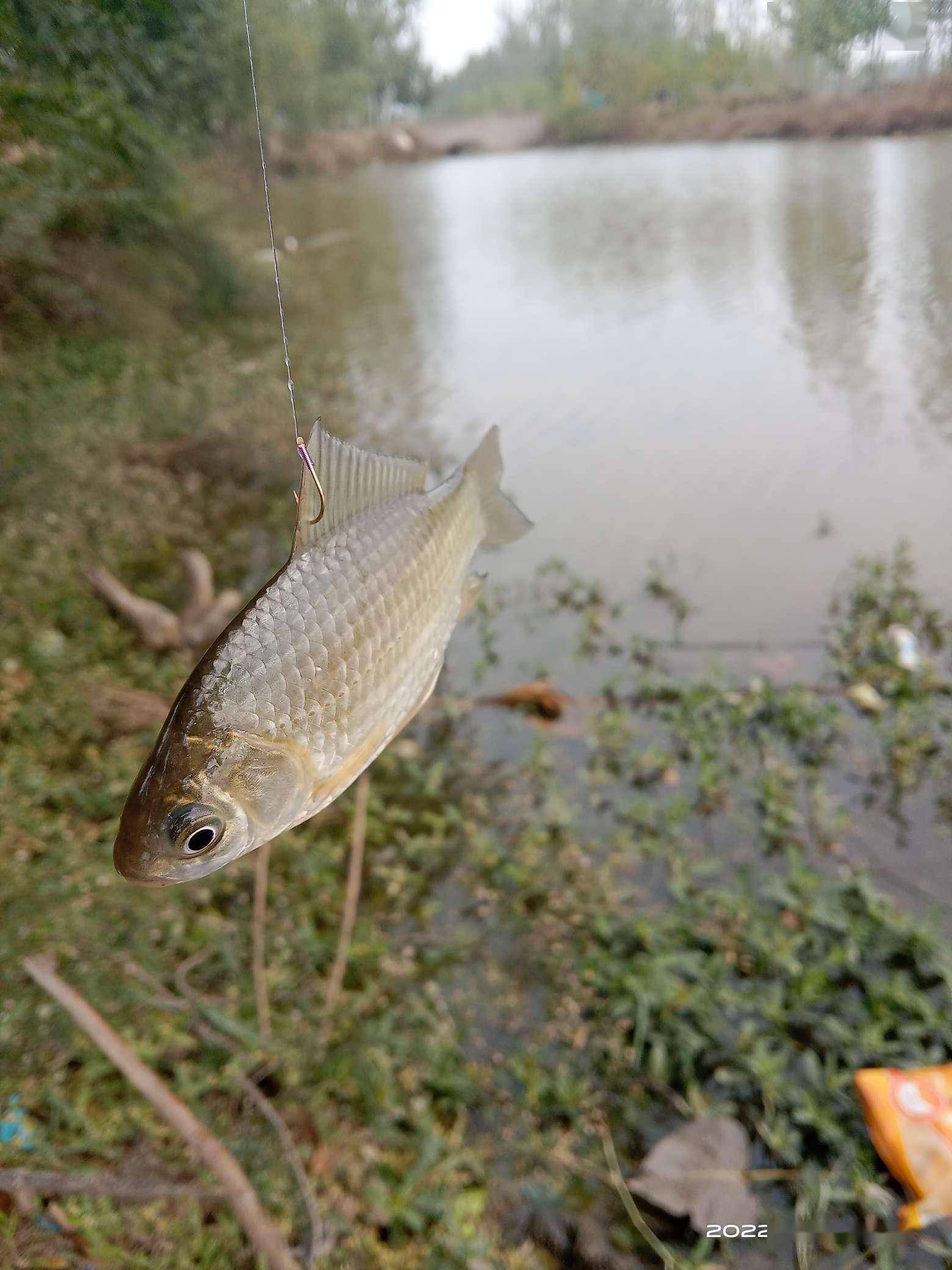 那就是致命的诱惑！野钓想空军都难