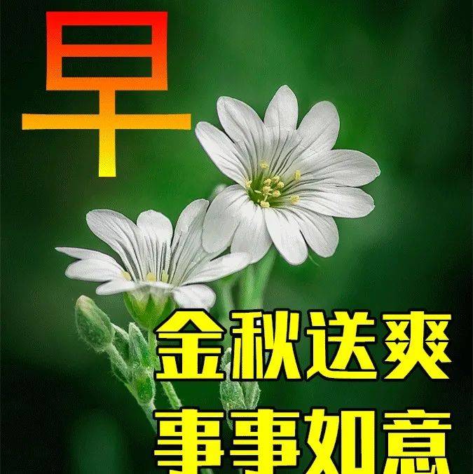 10月14日秋天早上好动态表情图片大全，早晨好动图美图大全 生活 人生 成功