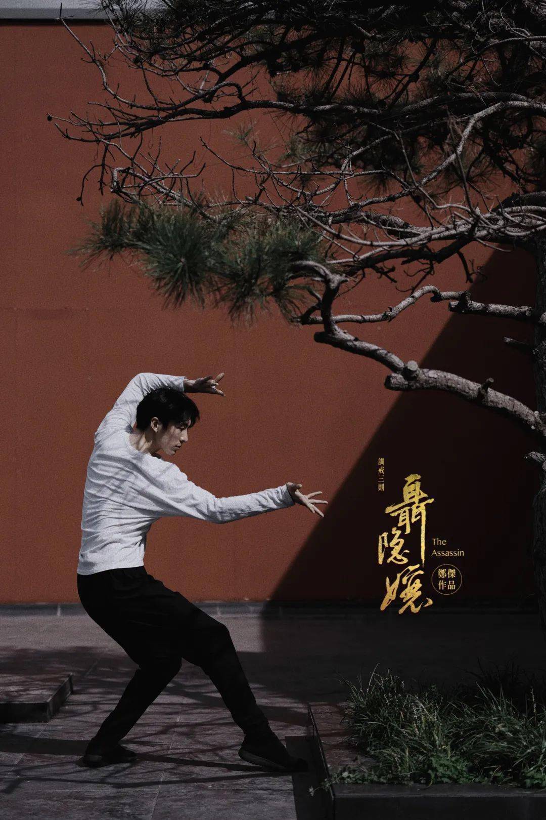 style of this piece zheng jie reached out toballet dancer liu