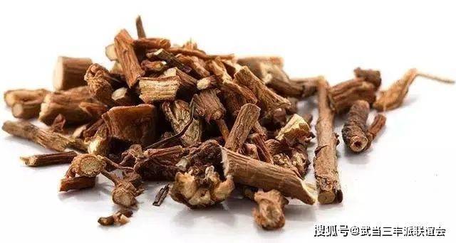 張至順道長秘傳:十仙接骨丹:用此藥斷骨自接, 淤血自然吐出_傷痛_筋骨