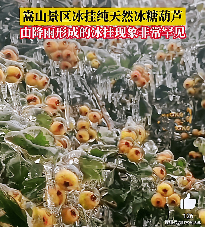 美哭！郑州嵩山景区出现罕见冰挂，网友直呼这才是正宗的冰糖葫芦