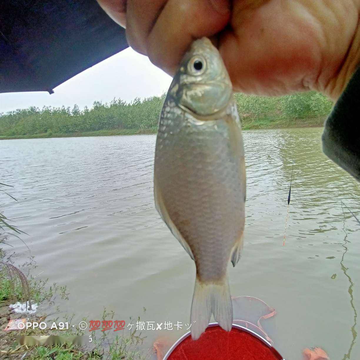 感触感染冰火两重天，体验爆连的快感