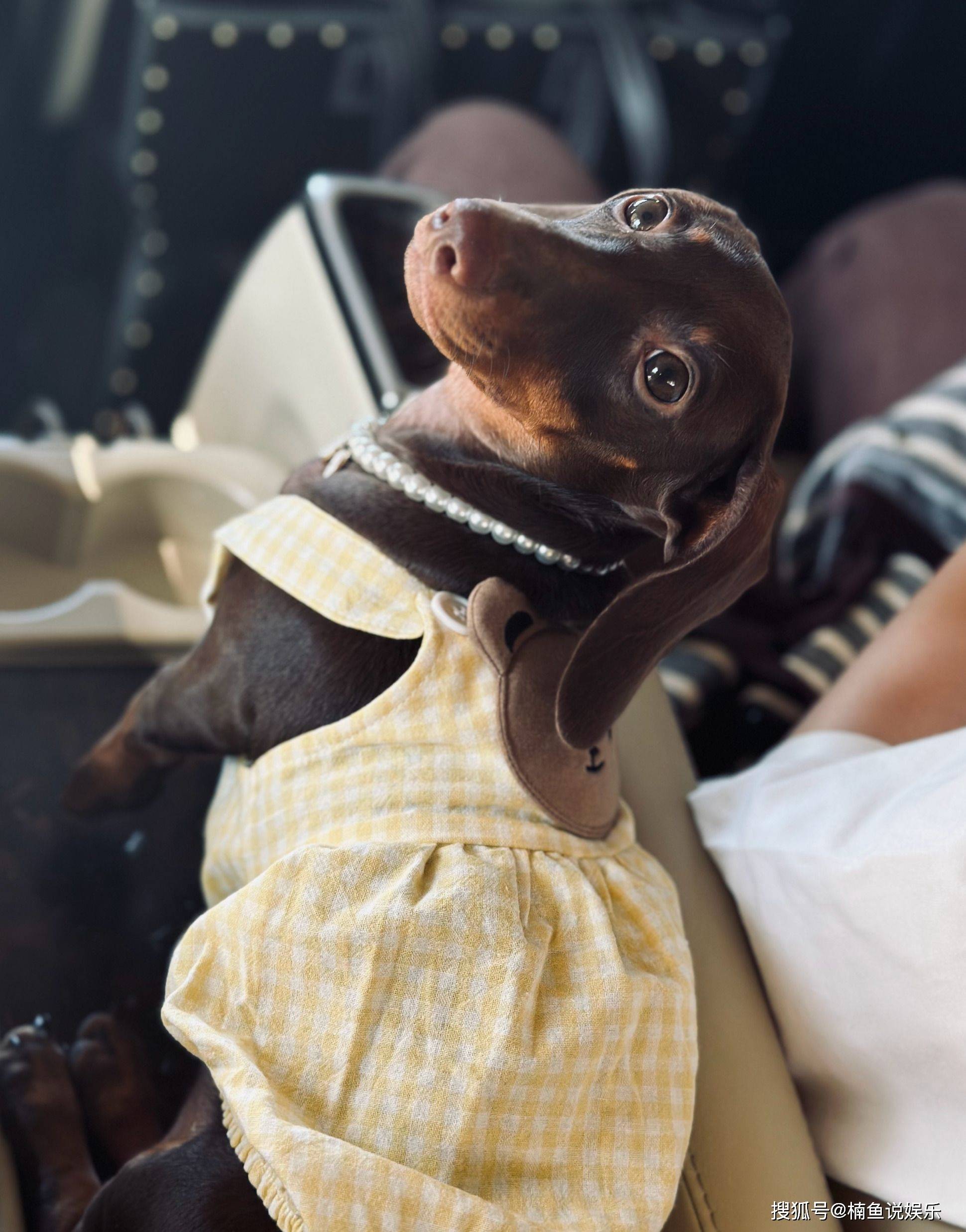 赵露思真是小甜妹!