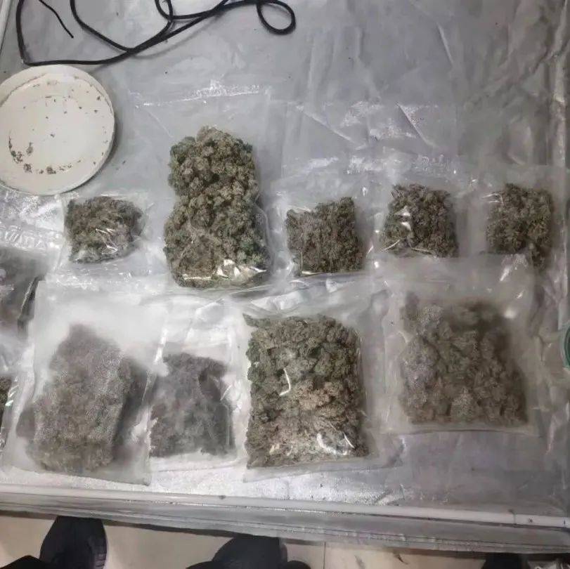 禁毒 | “来来来,咂根烟”,小心毒瘾沾上身!_合成_大麻_贩卖毒品