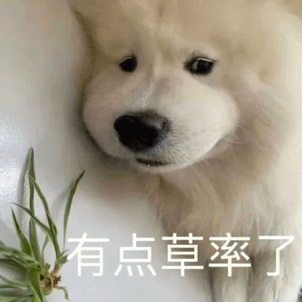 姓名英文缩写_姓名英文怎么写_英文姓名