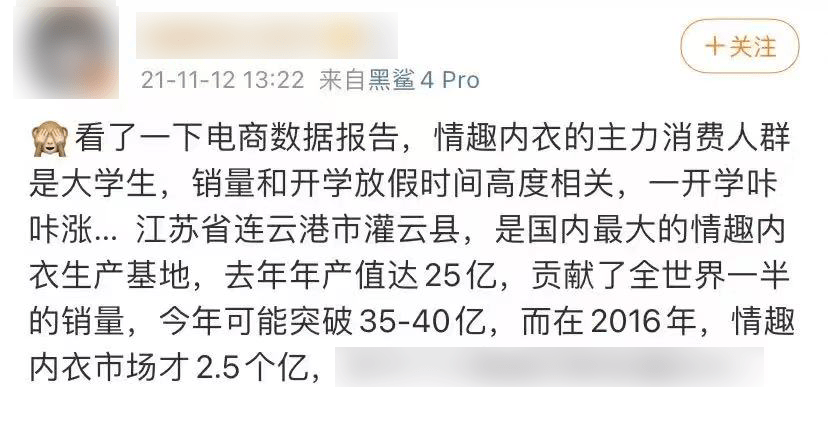 苏北农村大妈，靠情趣内衣年赚30亿