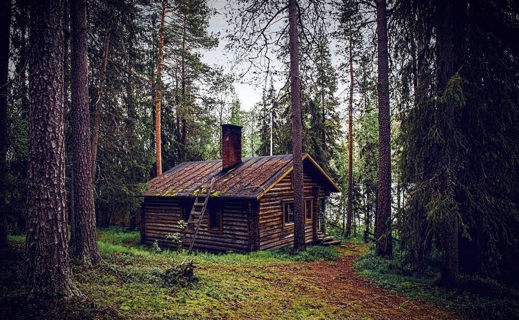 俄罗斯的森林木屋，如同住进油画里，为啥却不能随便靠近？