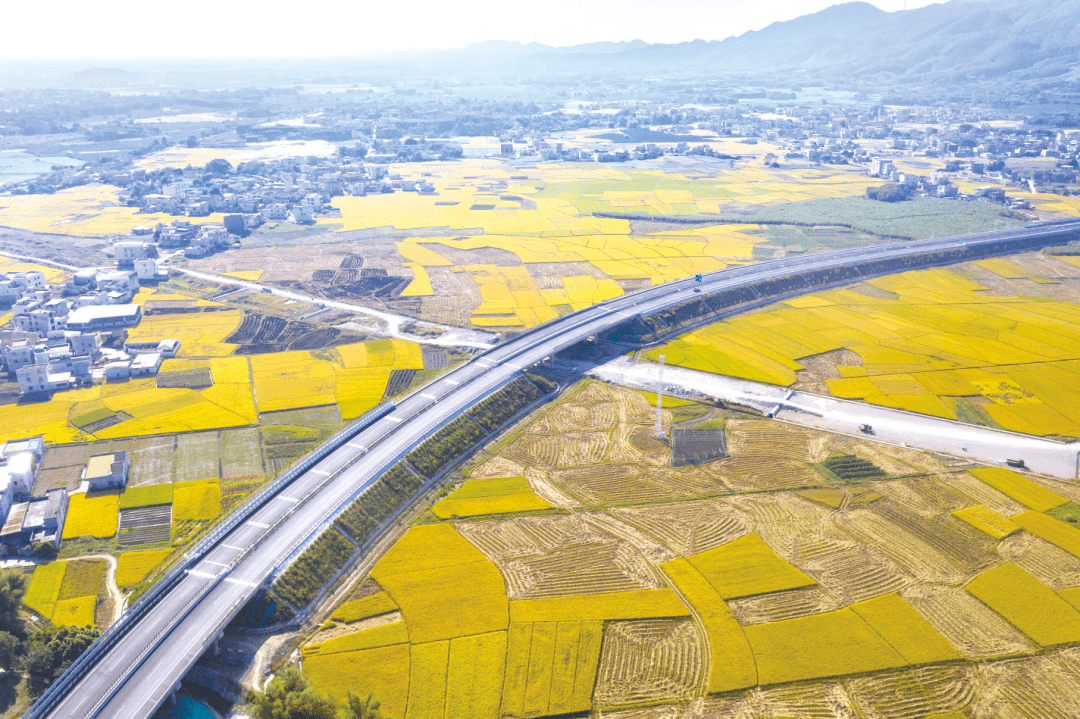 也是《廣西高速公路網規劃(2018—2030年)》中