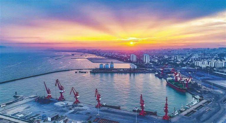 万和证券：以“3+1”角色助力海南自贸港高质量发展