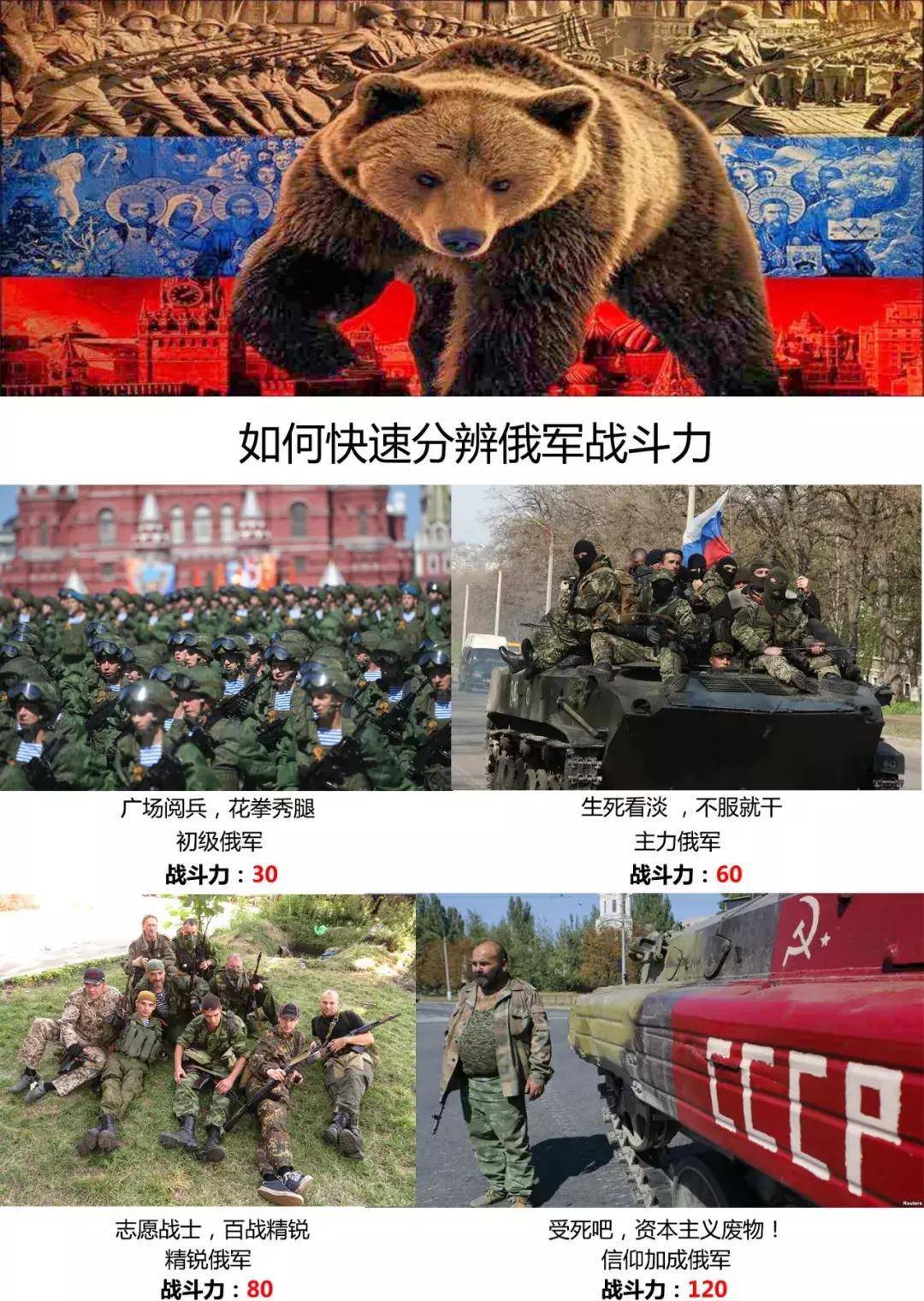 俄罗斯海军现状熊图片