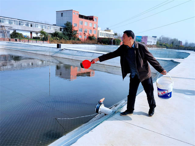 驻马店市驿城区：锦鲤跃“农”门 游出致富路