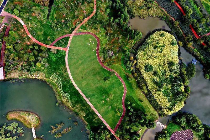 来到生物多样性重点展示区,可以看到原生板栗,滇青冈,云南含笑,大果枣