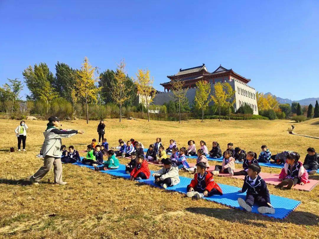 湿地科普研学活动开始啦!_雪野_树叶_大自然