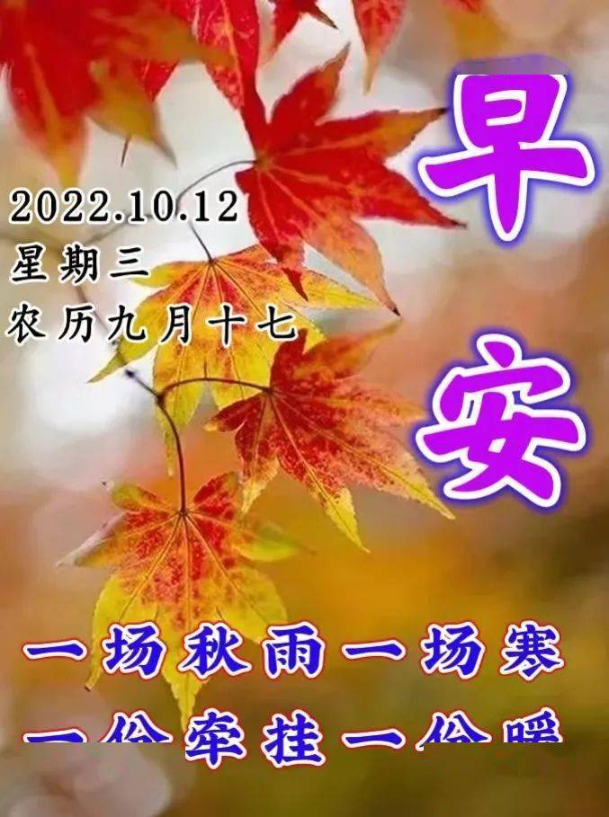 10月19日最新早上好动态表情图片大全,早晨好动图美图大全!