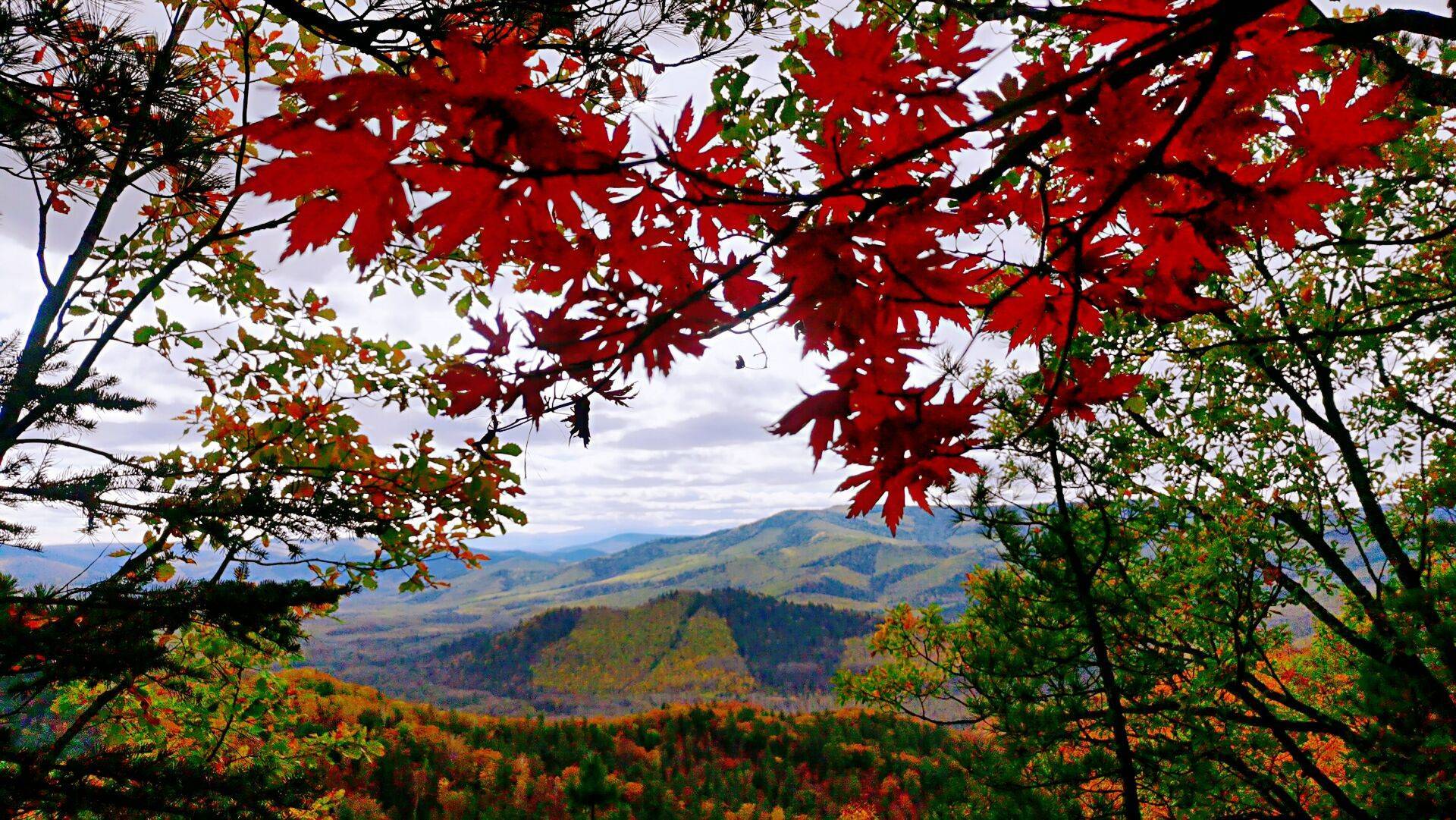 长白山风景图片秋天图片