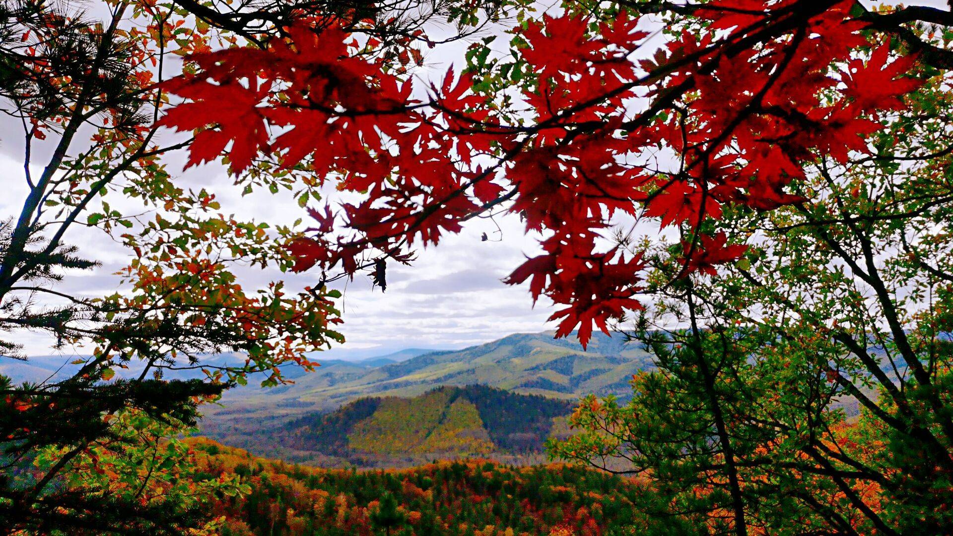 長白山麓秋景_五花山_美景_長白