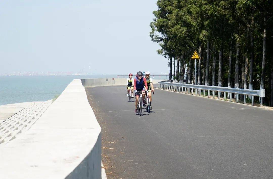 我们这十年 | "冠军"眼中的崇明体育_黄丽_自行车_人才