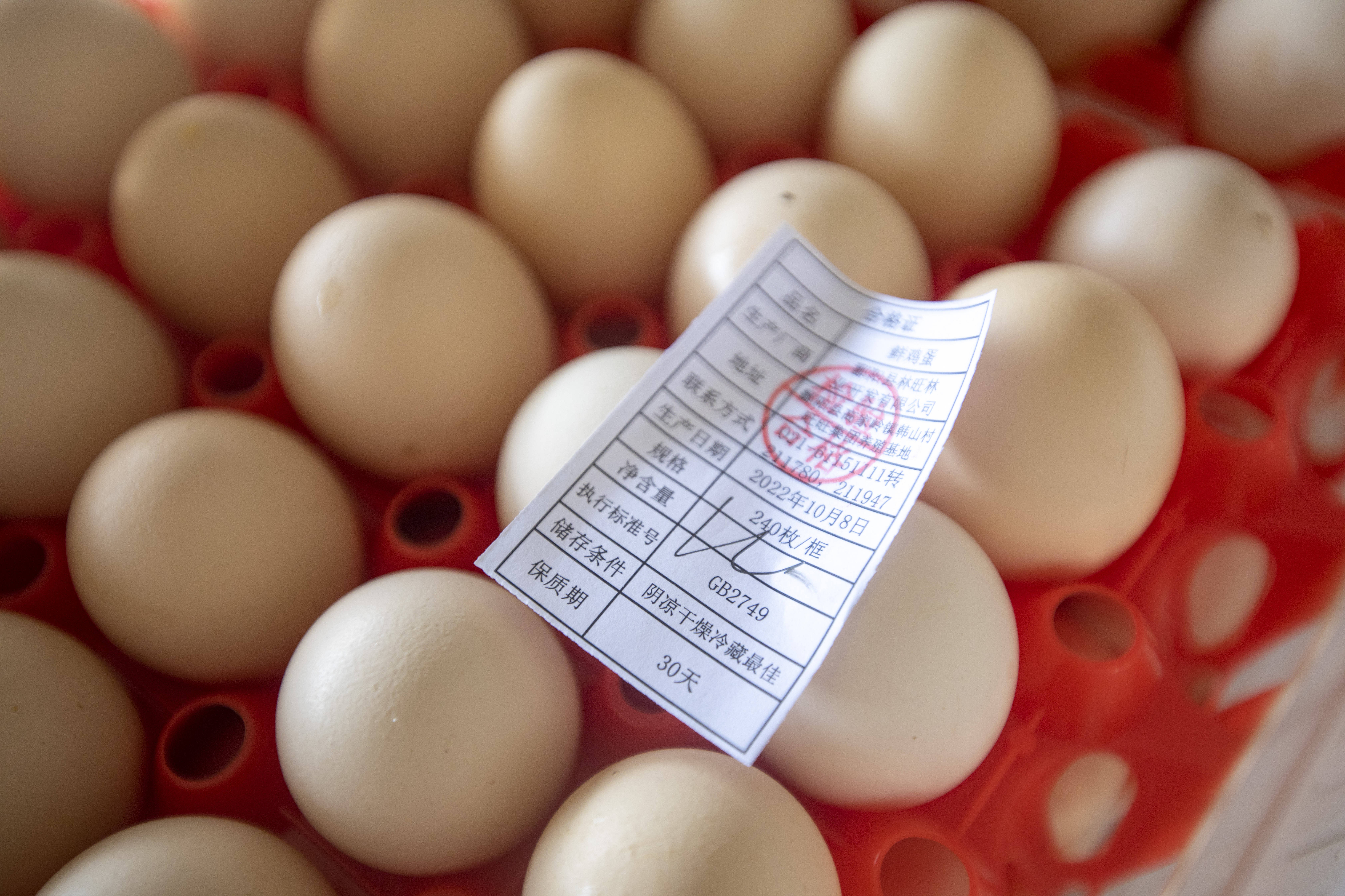 鄱阳林旺鸡场，生厂的鸡蛋是用来做旺仔小馒头的蛋源